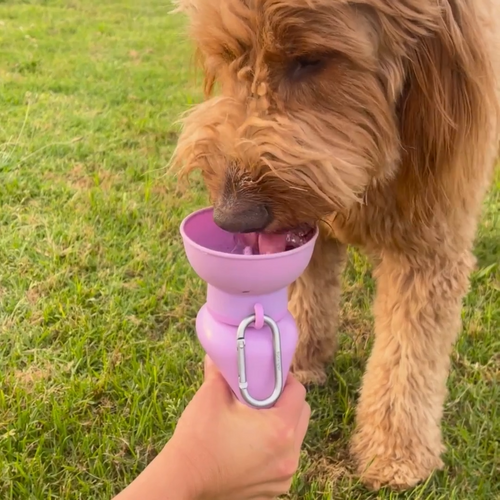 Flip Dog Travel Water Bottle
